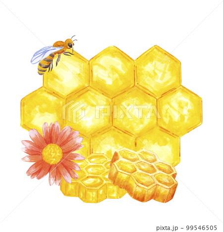 Hand drawn watercolor honey combs composition on white background. Scrapbook design, logo, label, banner. 99546505