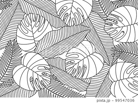 南国葉っぱ背景1 99547036