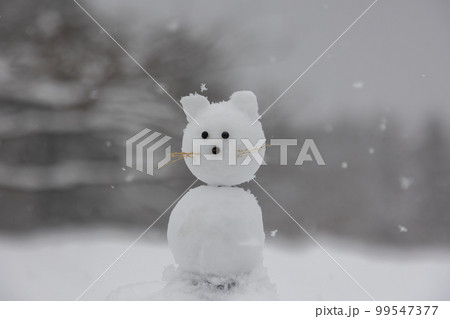 雪降る高原 ネコの雪だるま 雪降る高原 ネコの雪だるま 99547377