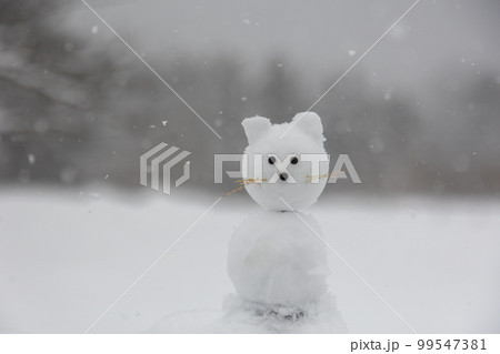 雪降る高原　ネコの雪だるま 99547381