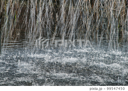 水しぶきのきらめきが美しい風景 水しぶきのきらめきが美しい風景 99547450