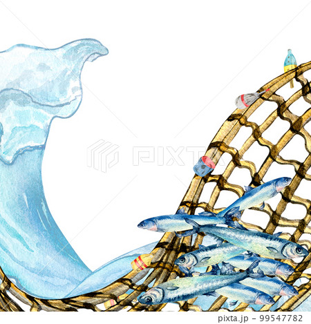 Composition of anchovies and fishnet watercolor illustration isolated on white. 99547782
