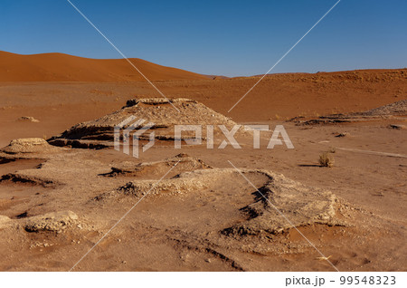 Deadvlei landscape in Namibia Deadvlei landscape in Namibia 99548323