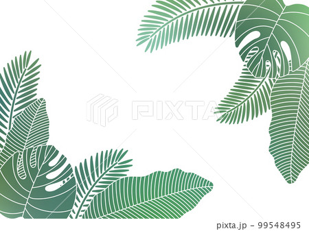 南国葉っぱフレーム2 南国葉っぱフレーム2 99548495