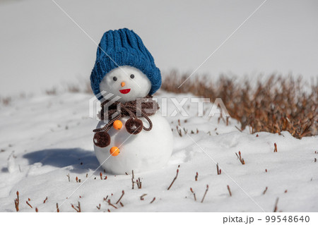 手作りの雪だるま 手作りの雪だるま 99548640