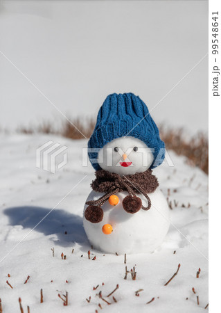 手作りの雪だるま 手作りの雪だるま 99548641