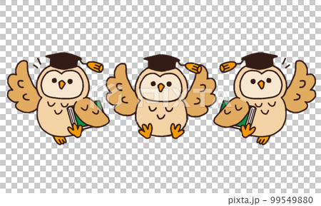 貓頭鷹醫生插圖集（線條圖顏色） 99549880