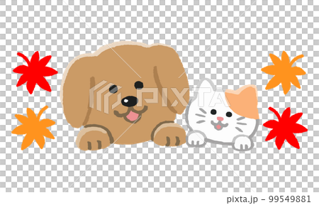 紅葉と顔をのぞかせる犬と猫二匹（手描きカラー） 99549881