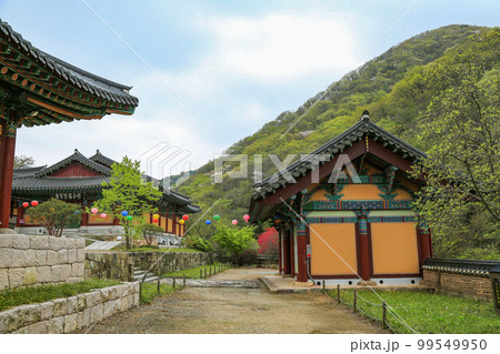 晴れ 登山 自然 99549950