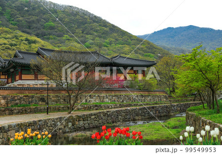 晴れ 登山 自然 99549953