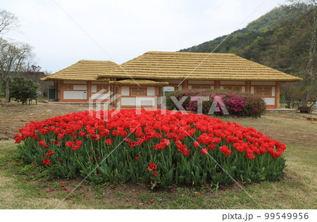 晴れ 登山 自然 99549956