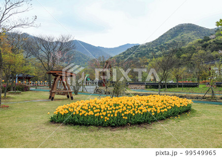 晴れ 登山 自然 99549965