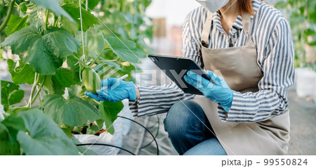 Agriculture technology farmer woman holding tablet or tablet technology to research about agriculture problems analysis and visual icon.Smart farming . Agriculture technology farmer woman holding tablet or tablet technology to research about agriculture problems analysis and visual icon.Smart farming . 99550824