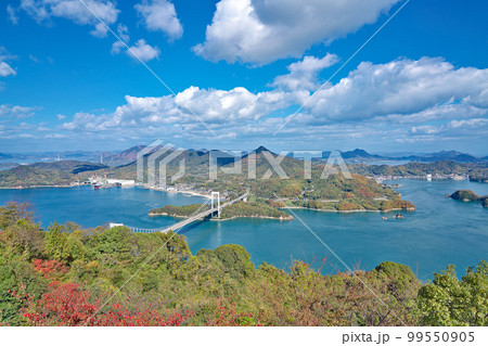 【カレイ山展望台から伯方・大島大橋】 愛媛県今治市宮窪町宮窪 99550905