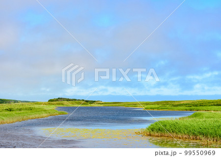 北海道ベニヤ原生花園 北海道ベニヤ原生花園 99550969