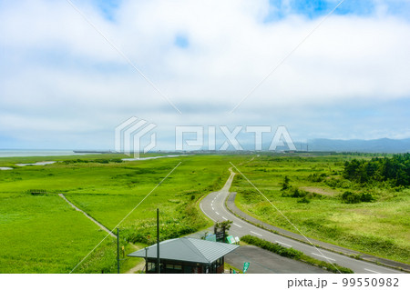北海道ベニヤ原生花園 99550982