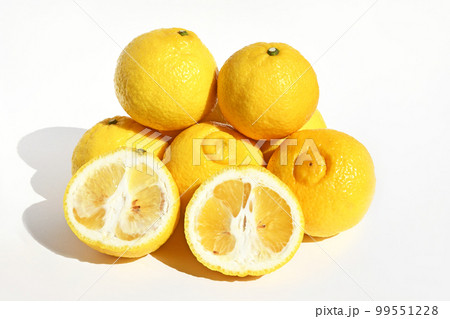 柑橘類（はるか） 99551228