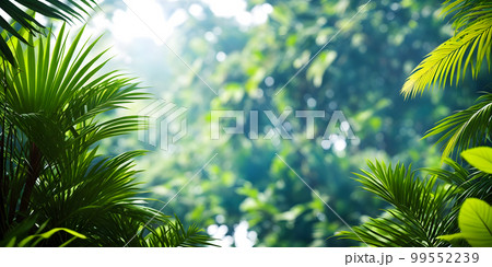 Tropical landscape 99552239