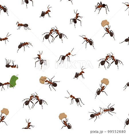 Ant pattern, abstract insects. Realistic isolated elements, summer nature animals, Garden termites silhouette wallpaper, wall art. Decor textile, wrapping paper. Vector current seamless background Ant pattern, abstract insects. Realistic isolated elements, summer nature animals, Garden termites silhouette wallpaper, wall art. Decor textile, wrapping paper. Vector current seamless background 99552680