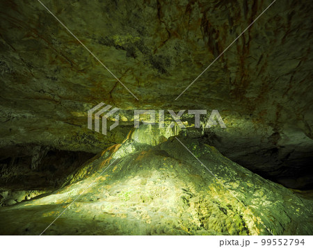 秋芳洞の風景 秋芳洞の風景 99552794