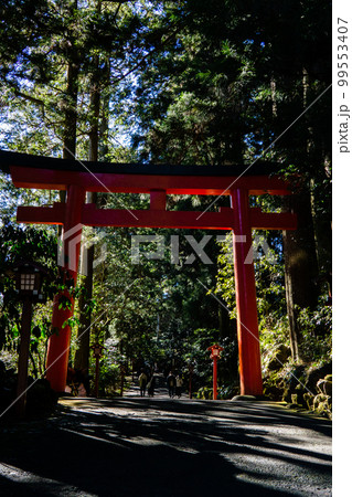 神奈川県・箱根神社の第三鳥居 神奈川県・箱根神社の第三鳥居 99553407