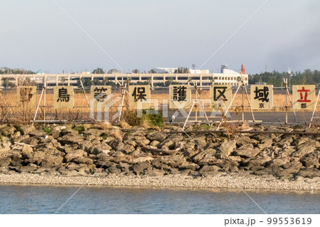 葛西海浜公園鳥獣保護区 99553619