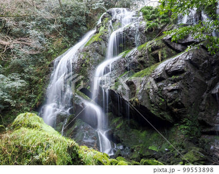 阿武郡阿武町・千滝の女滝 99553898