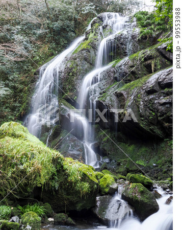 阿武郡阿武町・千滝の女滝 99553988