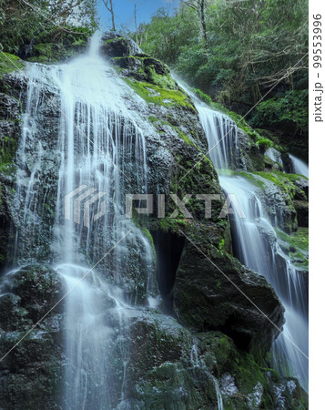 阿武郡阿武町・千滝の女滝 99553996