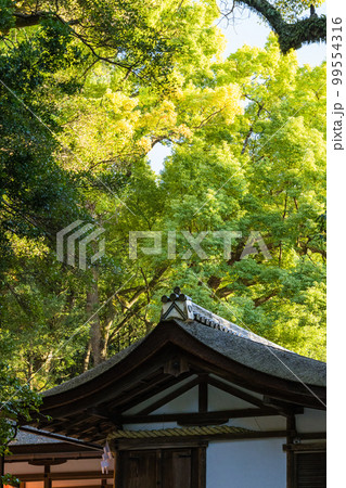 日本 奈良県奈良市の奈良公園内にある春日大社の若宮神社 日本 奈良県奈良市の奈良公園内にある春日大社の若宮神社 99554316