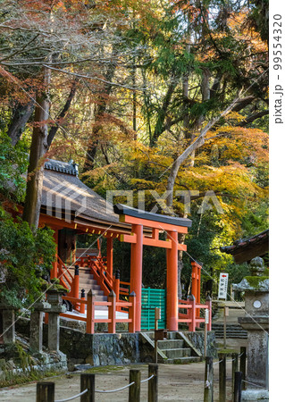 日本 奈良県奈良市の奈良公園内にある春日大社の若宮神社 日本 奈良県奈良市の奈良公園内にある春日大社の若宮神社 99554320