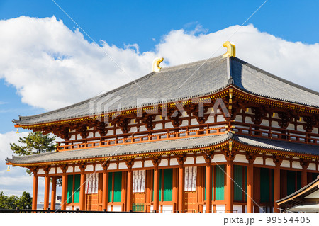 日本 奈良県奈良市に建つ興福寺の中金堂 日本 奈良県奈良市に建つ興福寺の中金堂 99554405