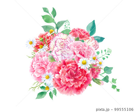 色々なカーネーションの水彩イラスト。アレンジメント。母の日の装飾。 99555106