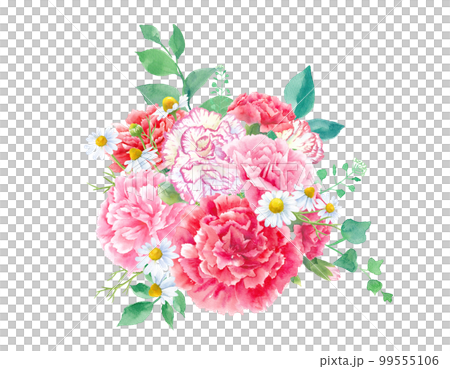 各種康乃馨的水彩插圖。安排。母親節裝飾。 99555106