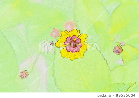 蛇の目模様ジャノメギクの異名を持つハルシャギク イラストCG画像 蛇の目模様ジャノメギクの異名を持つハルシャギク イラストCG画像 99555604