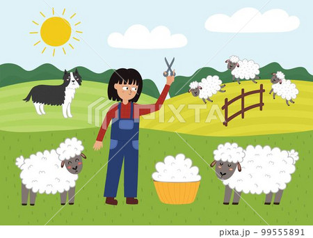On the farm poster with cute animals. Girl shearing sheep and making wool on a green meadow 99555891