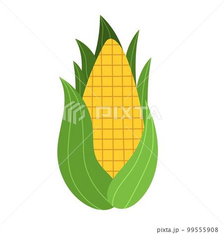 Sweet golden corn in cartoon style. Farm vegetable element Sweet golden corn in cartoon style. Farm vegetable element 99555908