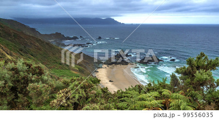 Seascape from Pena Furada Viewpoint, Ortigueira, Spain Seascape from Pena Furada Viewpoint, Ortigueira, Spain 99556035
