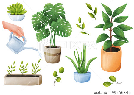 Green plants stickers set. Bundle of objects - potted houseplants, leaves, hand holding watering can. Gardening, greenery at home, planting. 3d illustration with isolated elements in realistic design 99556349