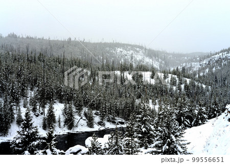 Yellowstone Winter Snow Madison River Yellowstone Winter Snow Madison River 99556651