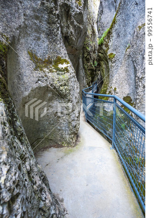 Gorge of La Yecla, Burgos, Spain 99556741