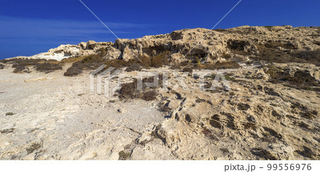 Ancient Fossil Dune, Los Escullos, Cabo de Gata-Nijar Natural Park, Spain 99556976