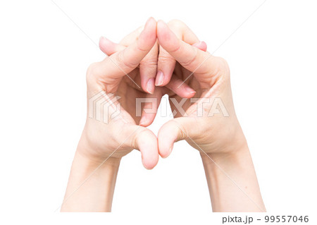 手遊びカエル 99557046