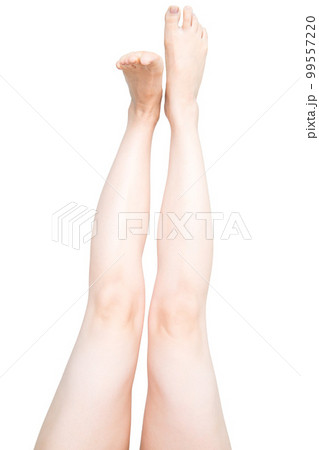 女性の脚 女性の脚 99557220
