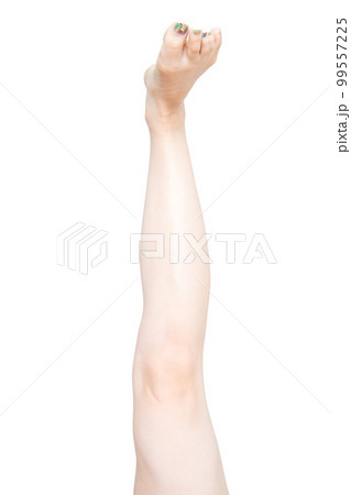 女性の脚 女性の脚 99557225