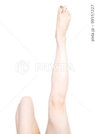 女性の脚 女性の脚 99557227