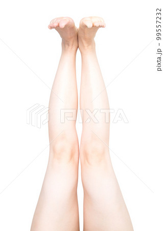 女性の脚 女性の脚 99557232