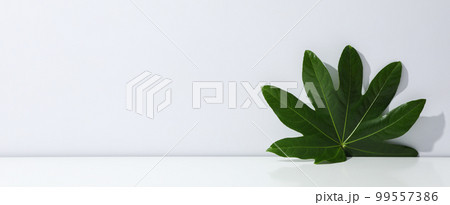 Concept of summertime, leaves, summer and nature concept Concept of summertime, leaves, summer and nature concept 99557386