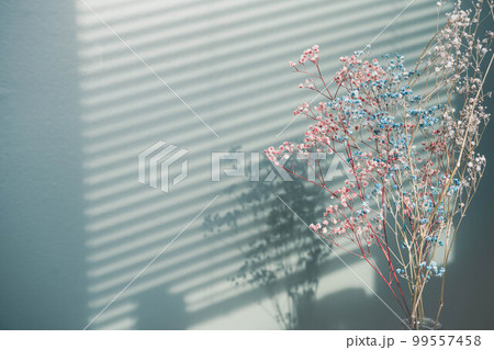 ブラインドの影とドライフラワー 99557458