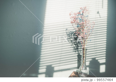 ブラインドの影とドライフラワー ブラインドの影とドライフラワー 99557464